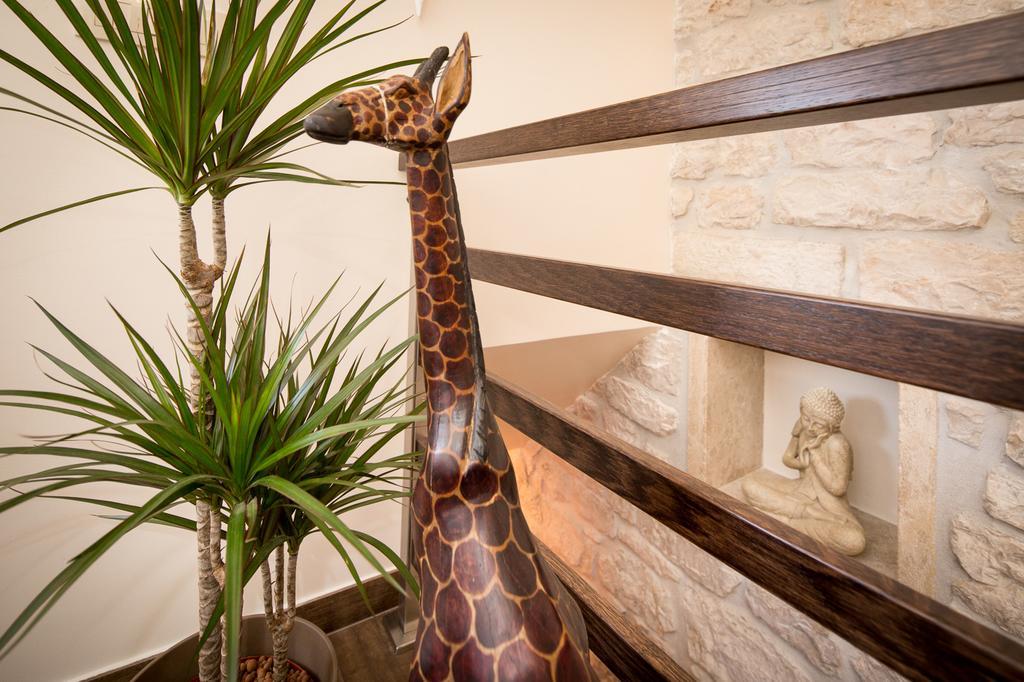 Apartment Shambala Sea View Ρόβινι Εξωτερικό φωτογραφία